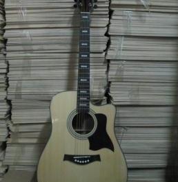 Acoustic Guitar SR. Size Thomson Spruce Top PROMO photo